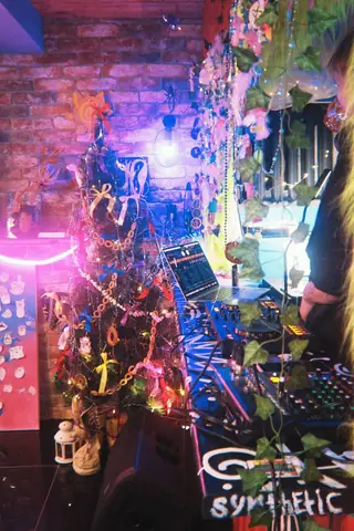 NEW YEAR WALK IN DAY